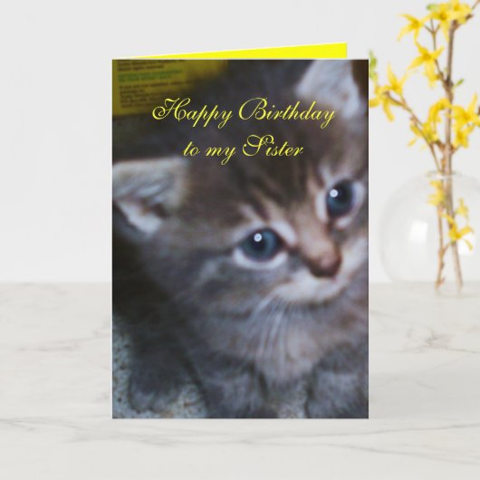 KITTEN, SCHWESTER BIRTHDAY CARD KARTE (Gelbe Blume)