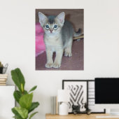 Kitten sechs Wochen Poster (Heimbüro)
