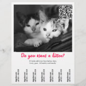 Kitten Selling Flyer (Vorne)