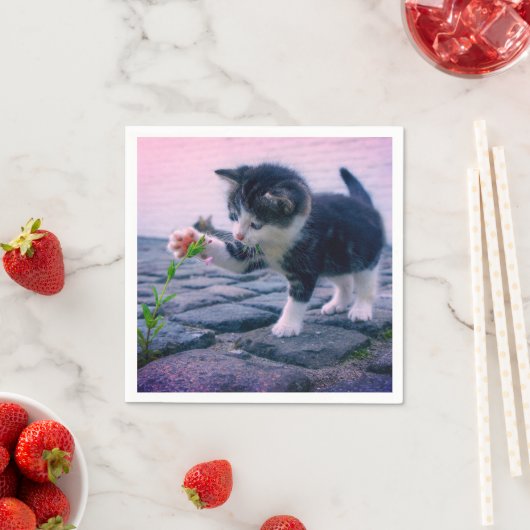 Kitten Serviette (Beispiel)