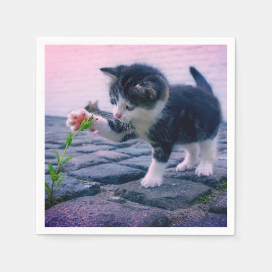 Kitten Serviette (Vorderseite)