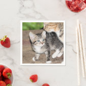 Kitten Serviette (Beispiel)