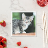 Kitten Serviette (Beispiel)