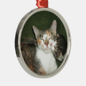 Kitten Silbernes Ornament (Rechts)