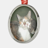 Kitten Silbernes Ornament (Links)