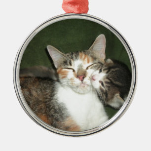 Kitten Silbernes Ornament