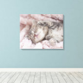 Kitten Sleeping on Towel Leinwanddruck (Insitu (Holzboden))