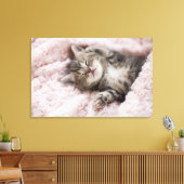 Kitten Sleeping on Towel Leinwanddruck (Insitu (Wohnzimmer))