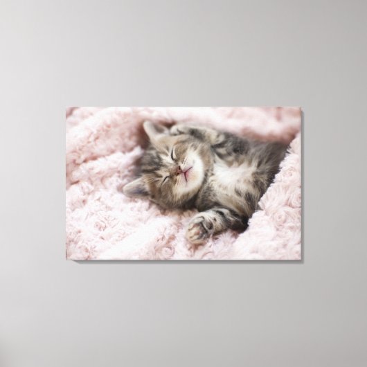 Kitten Sleeping on Towel Leinwanddruck (Vorderseite)