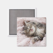 Kitten Sleeping on Towel Magnet (Vorderseite/Rückseite)