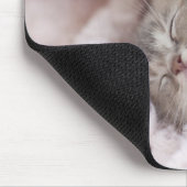 Kitten Sleeping on Towel Mousepad (Ecke)