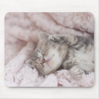 Kitten Sleeping on Towel Mousepad