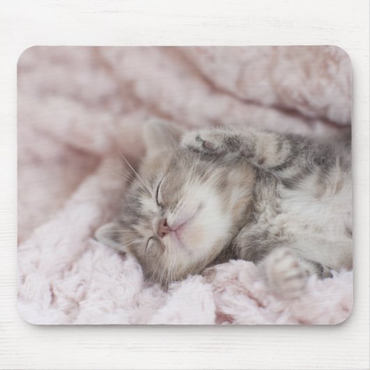 Kitten Sleeping on Towel Mousepad (Vorne)