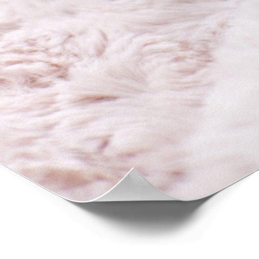 Kitten Sleeping on Towel Poster (Ecke)