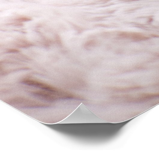 Kitten Sleeping on Towel Poster (Ecke)