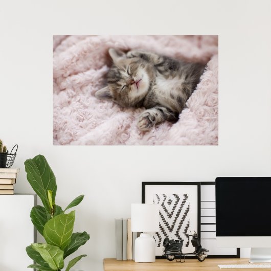 Kitten Sleeping on Towel Poster (Heimbüro)