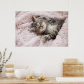 Kitten Sleeping on Towel Poster (Küche)