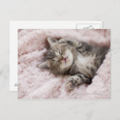 Kitten Sleeping on Towel Postkarte (Vorne/Hinten)