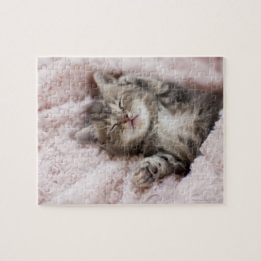 Kitten Sleeping on Towel Puzzle (Horizontal)