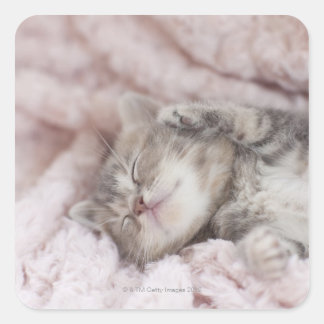 Kitten Sleeping on Towel Quadratischer Aufkleber