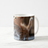 Kitten spielt mit einer kleinen Maus Kaffeetasse (VorderseiteRechts)