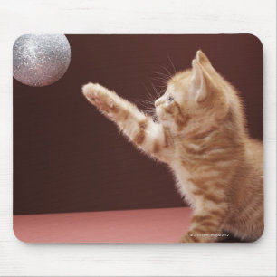 Kitten spielt mit Weihnachtsbaum auf Baum Mousepad