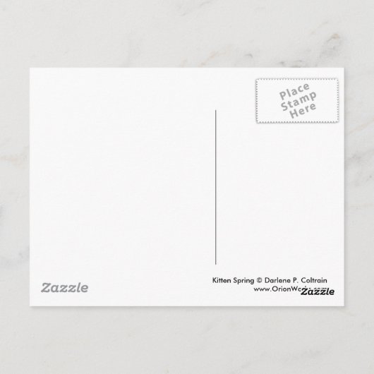 Kitten Spring Postkarte (Rückseite)