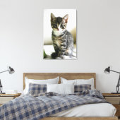 Kitten Stare Leinwanddruck (Insitu (Schlafzimmer))