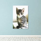 Kitten Stare Leinwanddruck (Insitu (Holzboden))