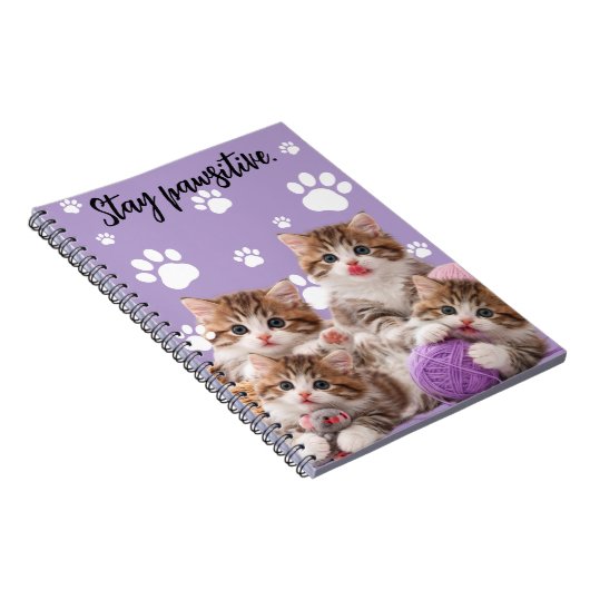 Kitten Stay Pawsitive Notebook Notizblock (Rechte Seite)