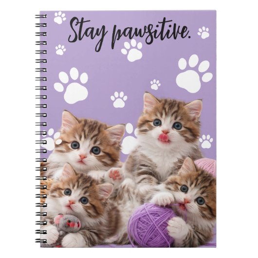 Kitten Stay Pawsitive Notizbuch Notizblock (Vorderseite)