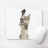 Kitten stehend auf Hinterpfeffern Mousepad (Mit Mouse)