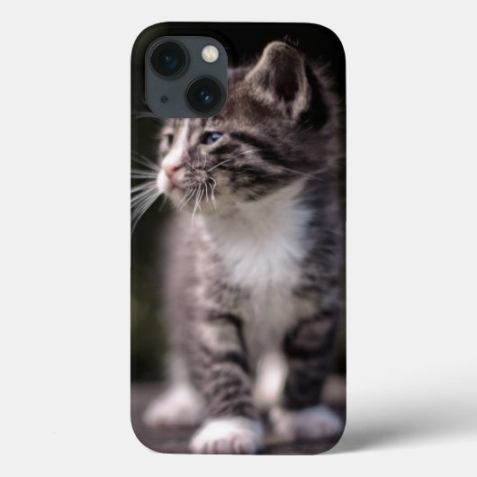 Kitten Stehend Tall Case-Mate iPhone Hülle (Rückseite)