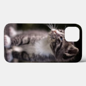 Kitten Stehend Tall Case-Mate iPhone Hülle (Rückseite (Horizontal))