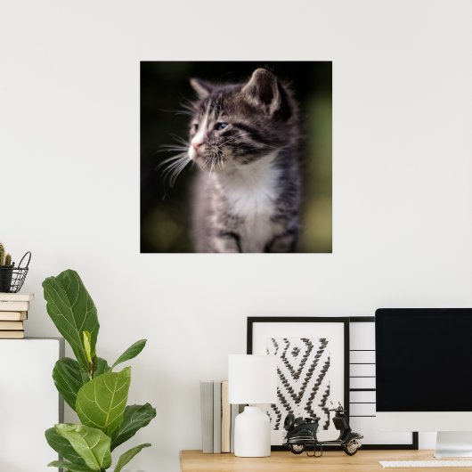 Kitten Stehend Tall Poster (Heimbüro)