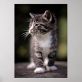 Kitten Stehend Tall Poster (Vorne)