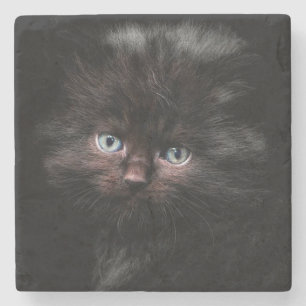 Kitten Steinuntersetzer