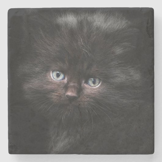 Kitten Steinuntersetzer (Vorderseite)