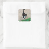 Kitten Sticker (Tasche)