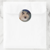 Kitten Sticker (Tasche)