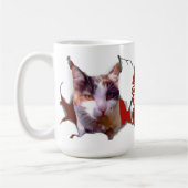 Kitten sticking her head out, ready for Christmas? Kaffeetasse (Links)