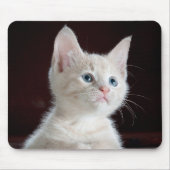 Kitten Süsse Mousepad (Vorne)