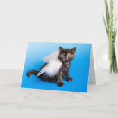Kitten Sympathy Card Karte (Vorderseite)