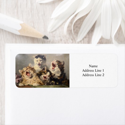 Kitten Symphony von Julius Adam II (Insitu)