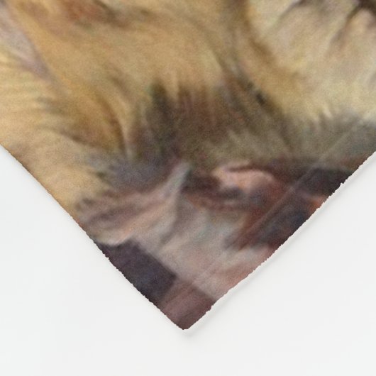 Kitten Symphony von Julius Adam II Fleecedecke (Ecke)