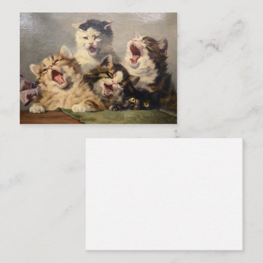 Kitten Symphony von Julius Adam II Mitteilungskarte (Vorne/Hinten)