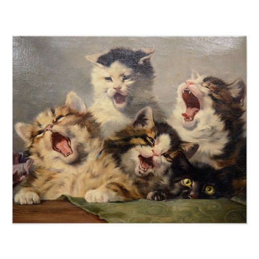 Kitten Symphony von Julius Adam II Poster (Vorderseite)