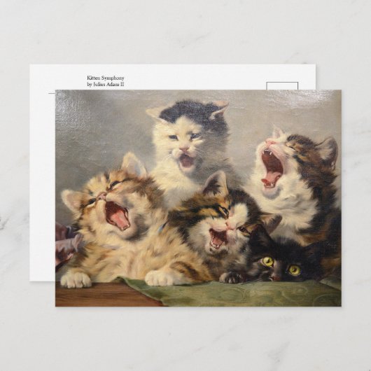Kitten Symphony von Julius Adam II Postkarte (Vorne/Hinten)