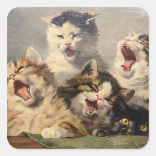 Kitten Symphony von Julius Adam II Quadratischer Aufkleber