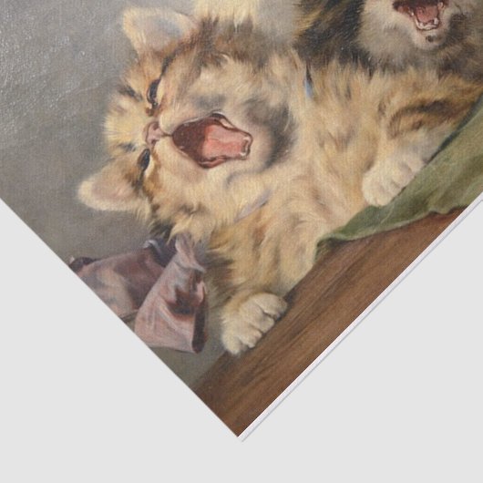 Kitten Symphony von Julius Adam II Seidenpapier (Ausschnitt)